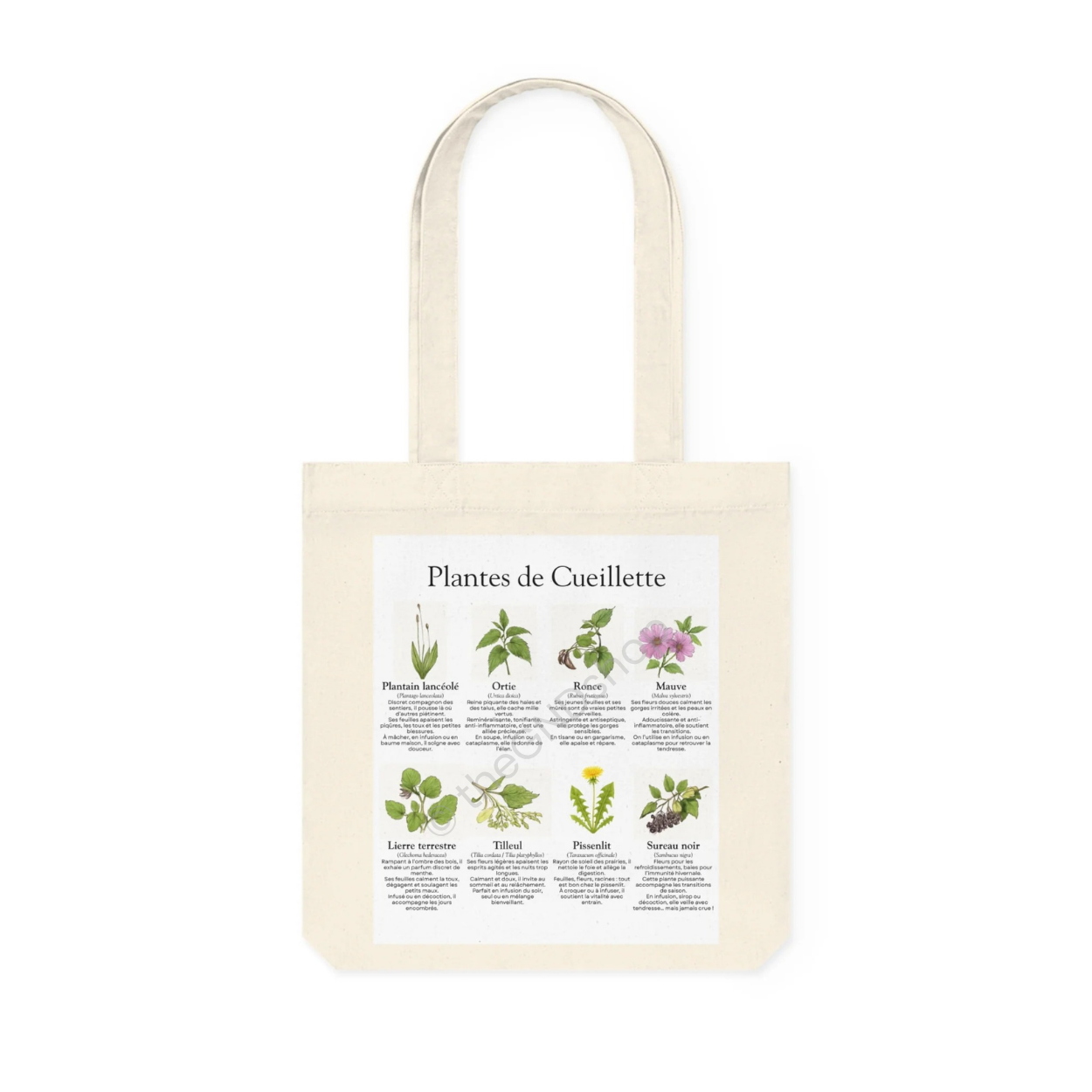 Tote Bag - Plantes de Cueillette