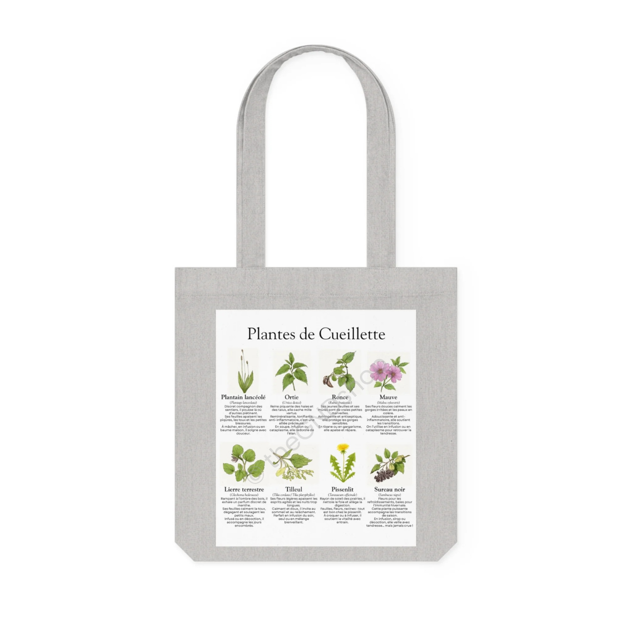 Tote Bag - Plantes de Cueillette