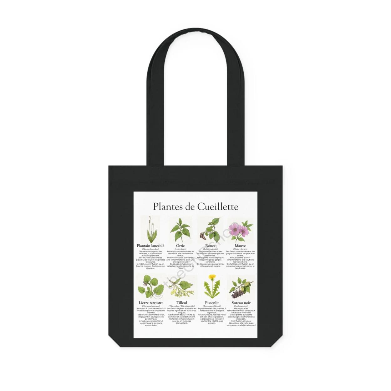 Tote Bag - Plantes de Cueillette