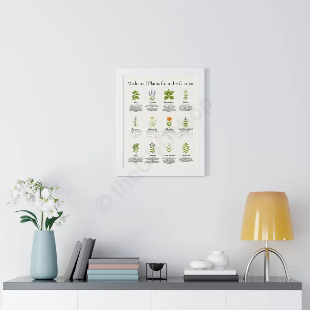 Framed Poster Medicinal Plants from the Garden Poster