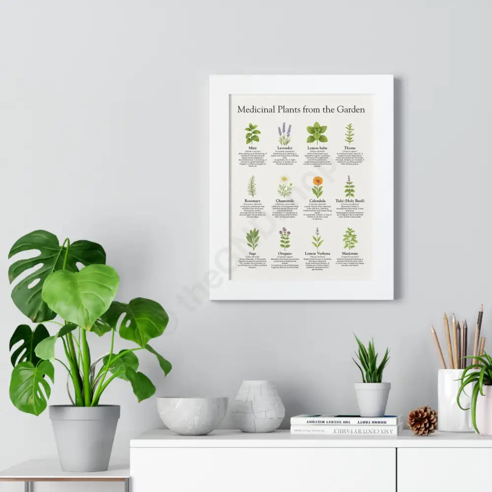 Framed Poster Medicinal Plants from the Garden Poster