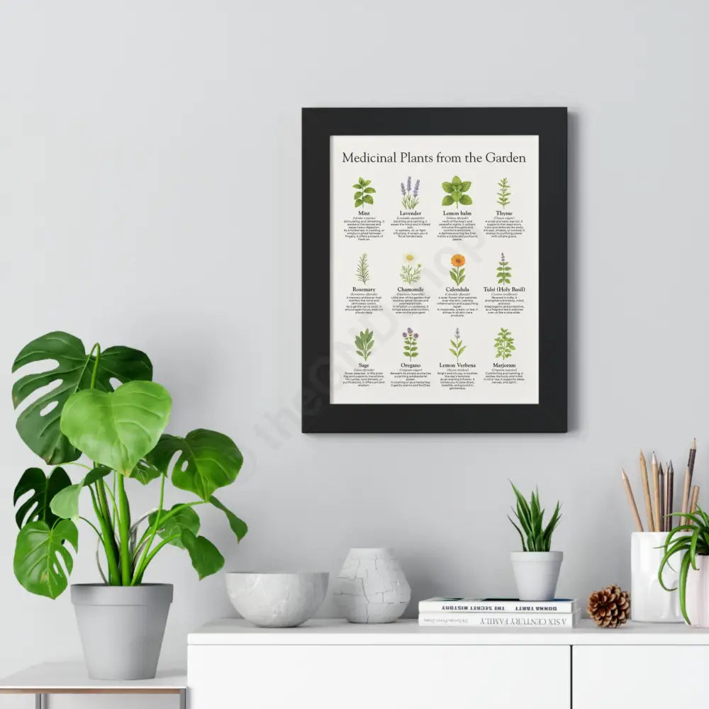 Framed Poster Medicinal Plants from the Garden Poster