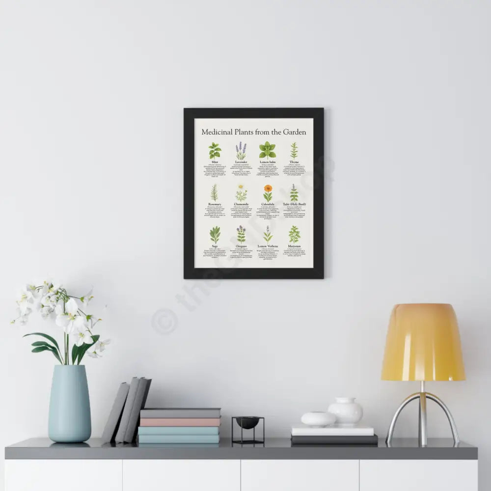 Framed Poster Medicinal Plants from the Garden Poster