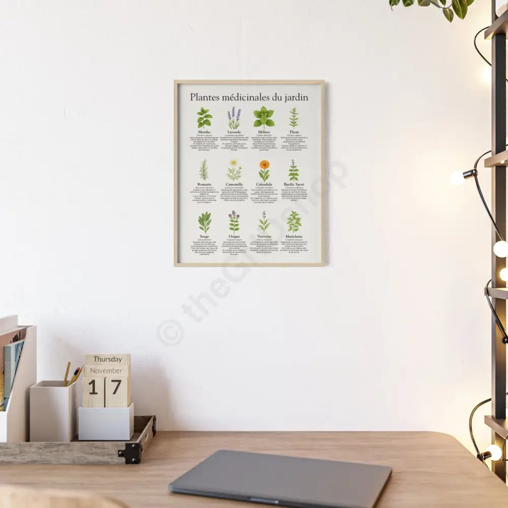 Poster encadré Plantes médicinales du jardin Poster