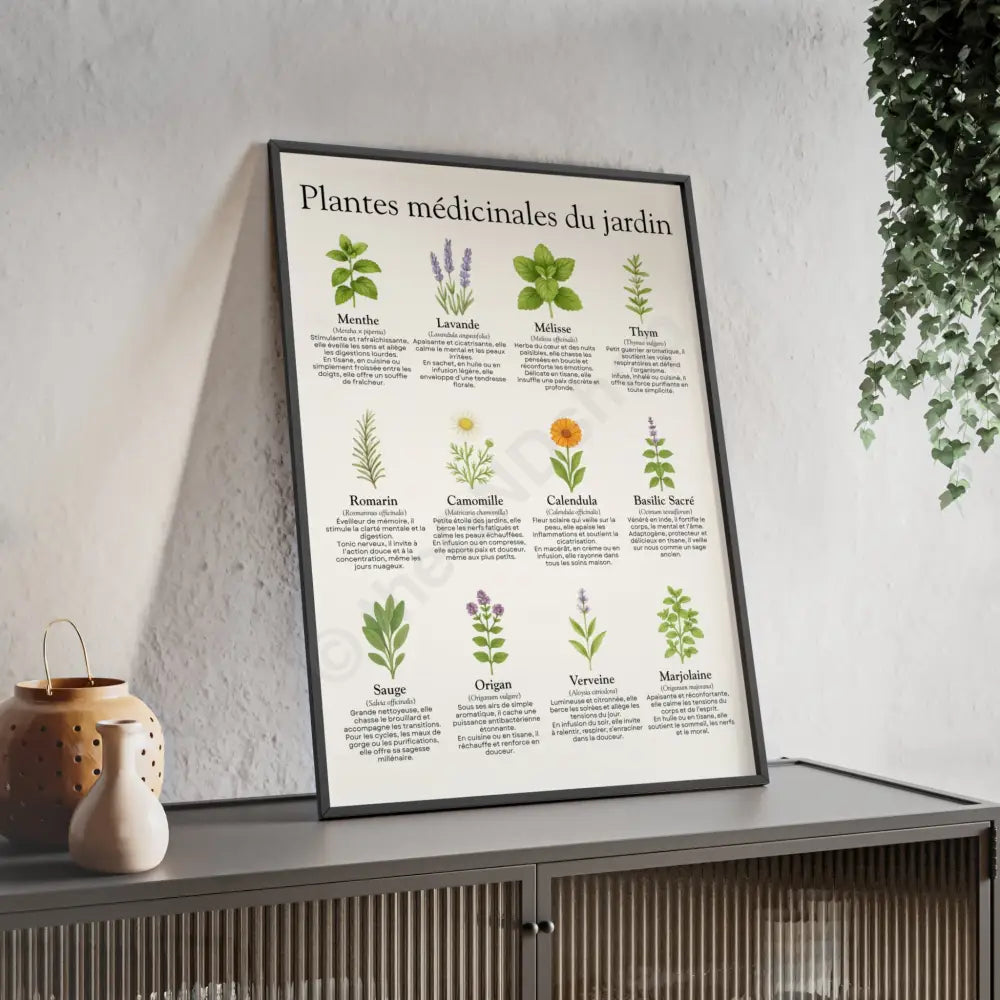 Poster encadré Plantes médicinales du jardin Poster