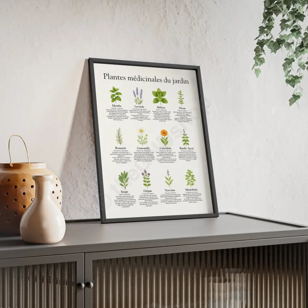 Poster encadré Plantes médicinales du jardin Poster