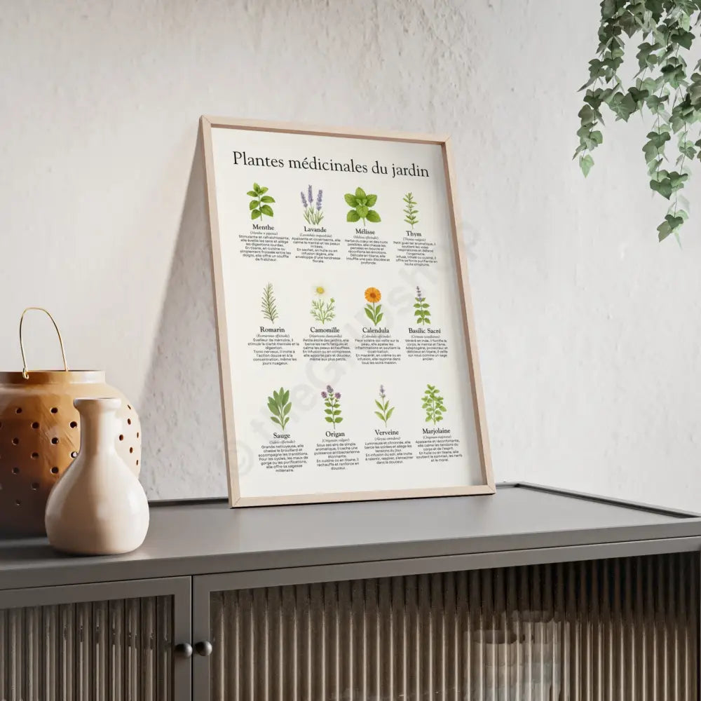 Poster encadré Plantes médicinales du jardin Poster