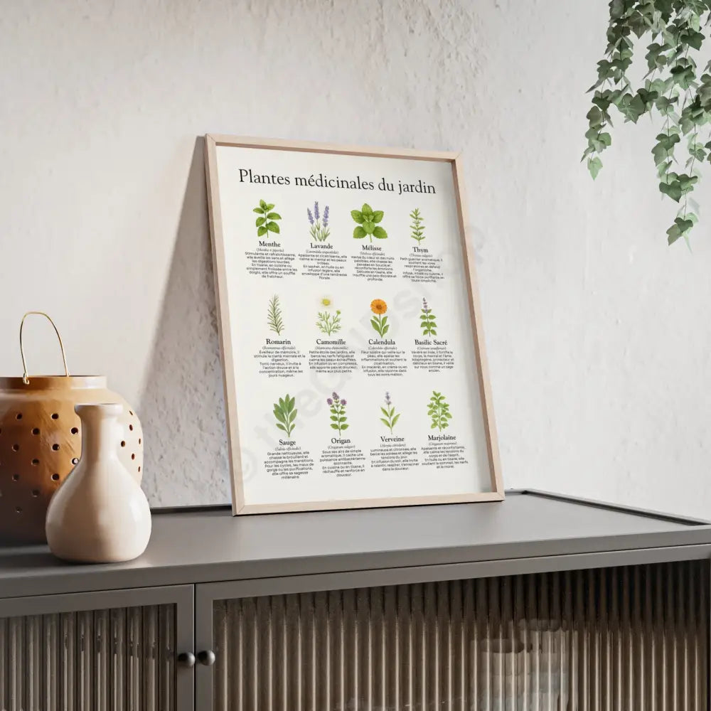 Poster encadré Plantes médicinales du jardin Poster