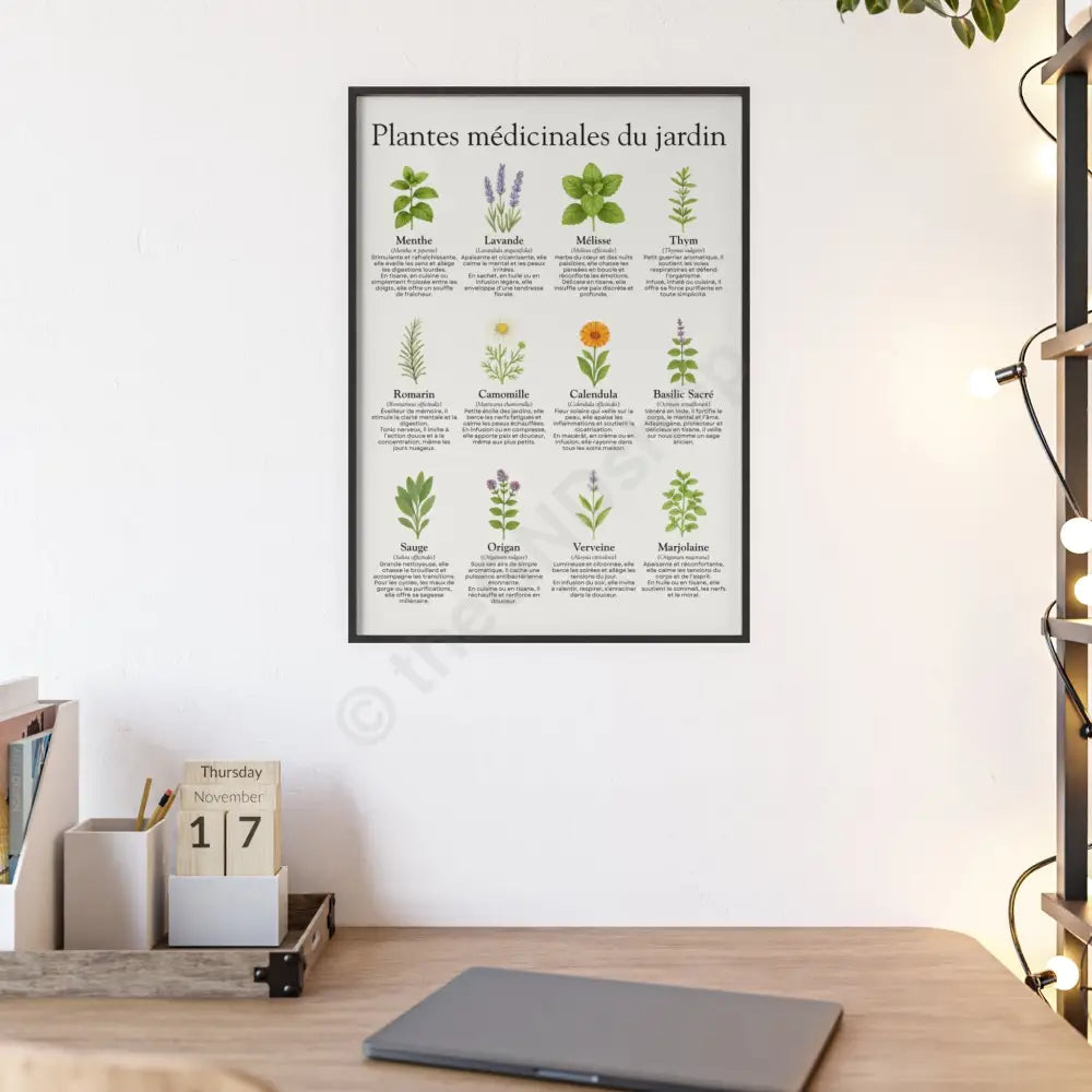 Poster encadré Plantes médicinales du jardin Poster
