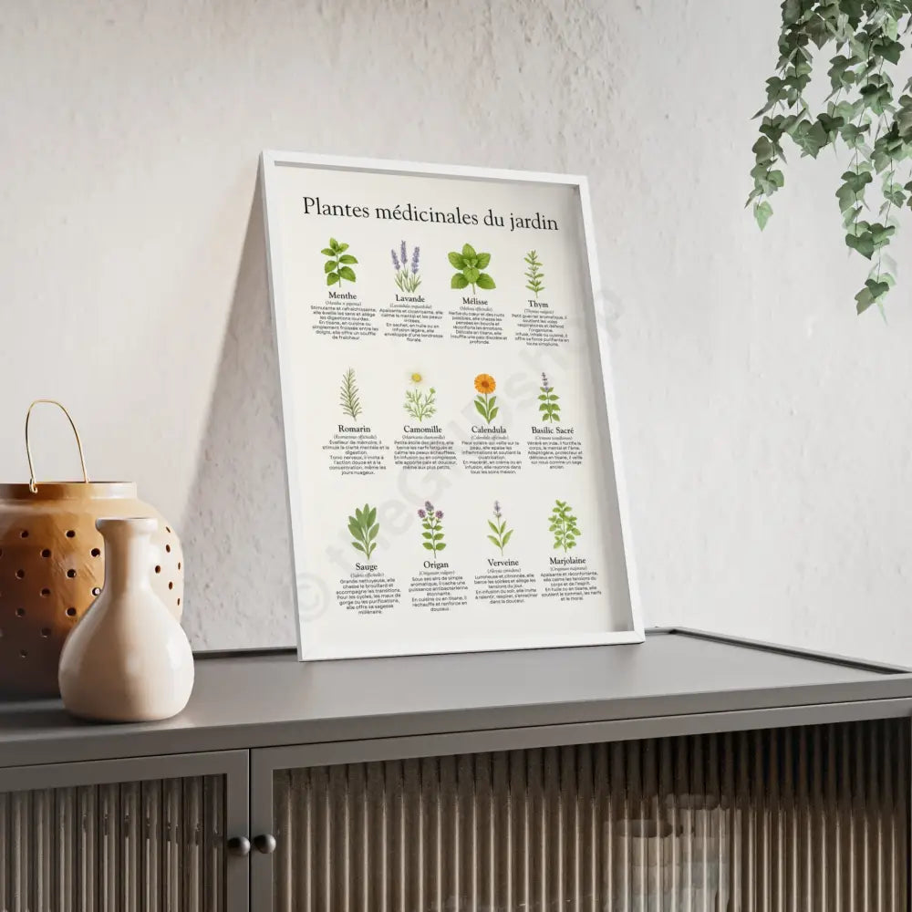 Poster encadré Plantes médicinales du jardin Poster